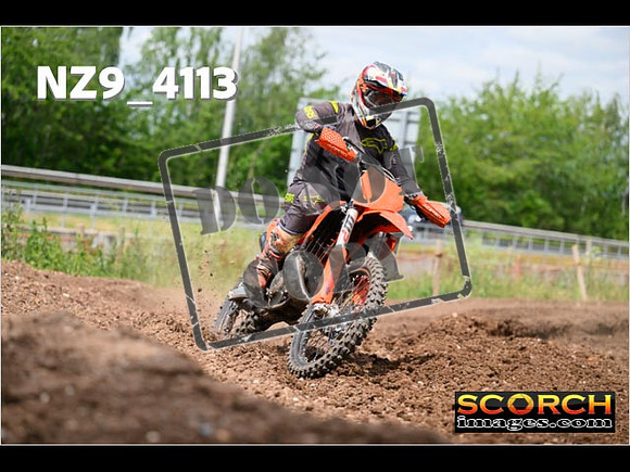 Experts-260