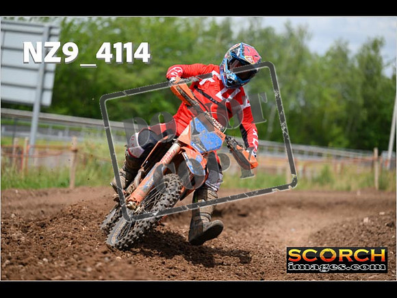 Experts-261
