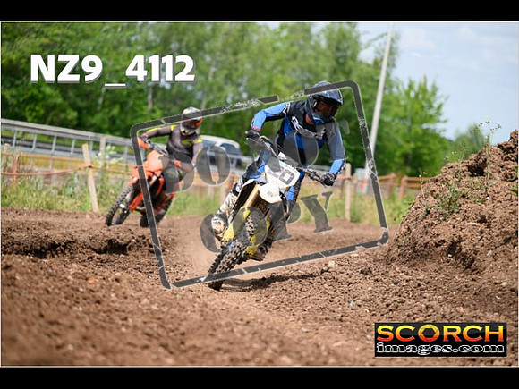 Experts-259
