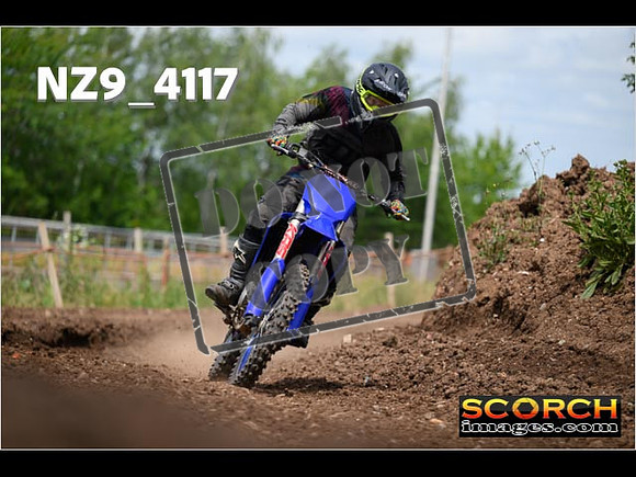 Experts-264