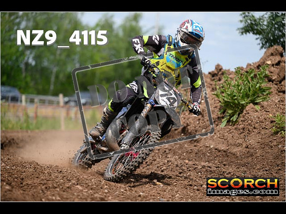 Experts-262