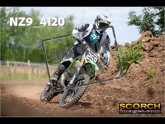 Experts-267