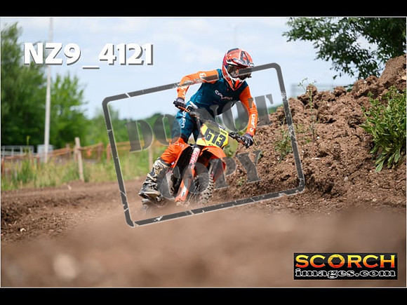 Experts-268