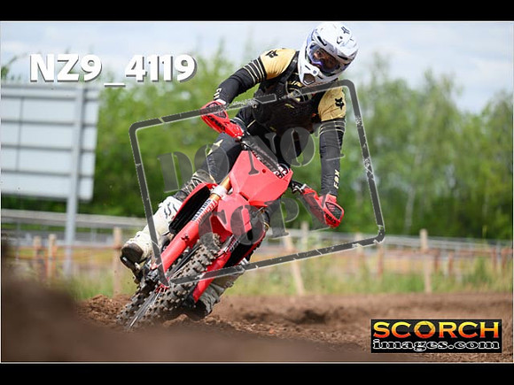 Experts-266