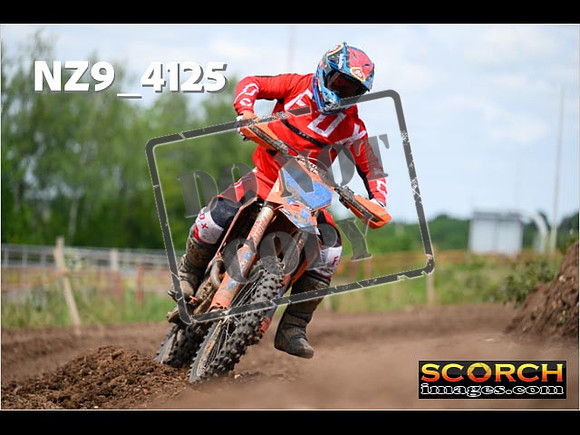 Experts-272