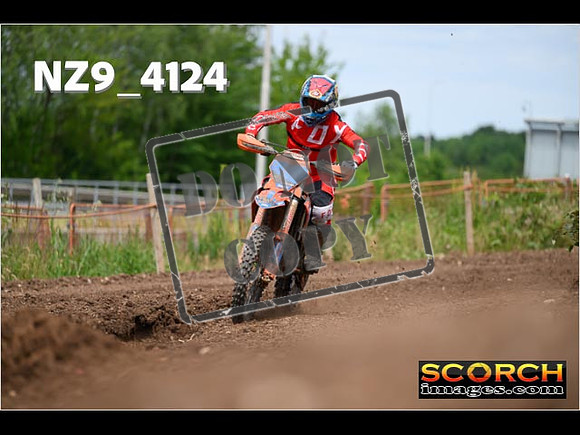 Experts-271