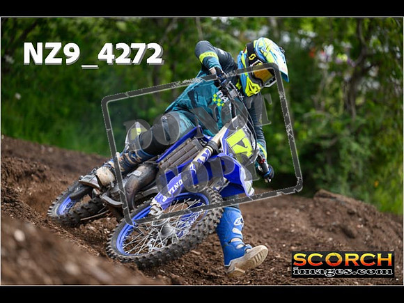 IntersBlue-393