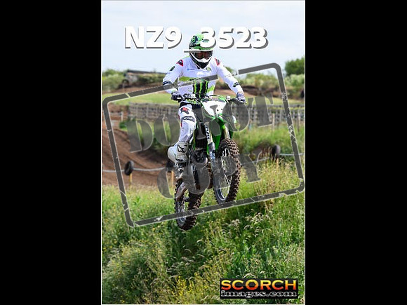 IntersGreen-030