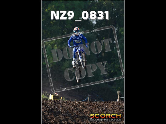 Experts-047