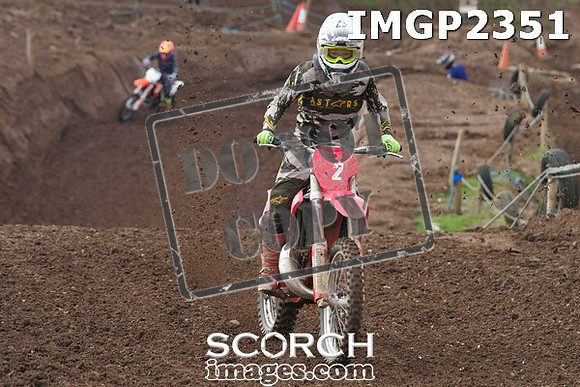 IMGP2351