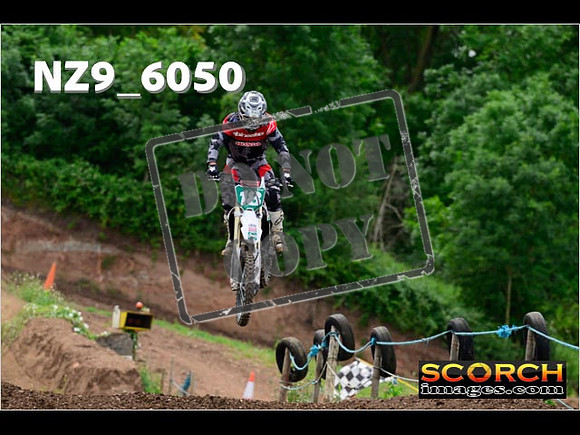 Over 40's-480