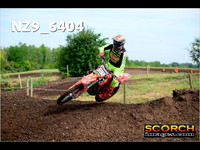 Experts-018
