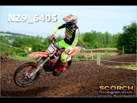 Experts-019