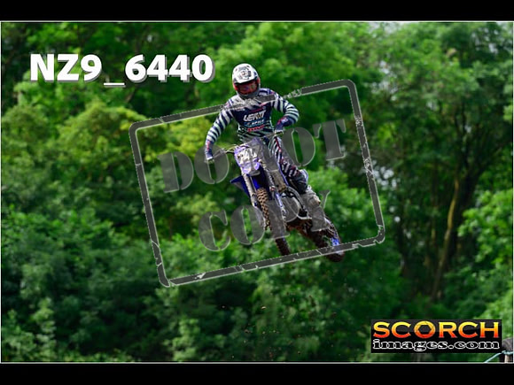 Experts-045