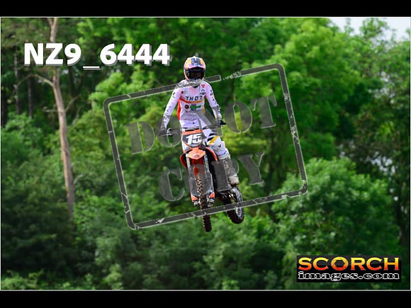 Experts-046