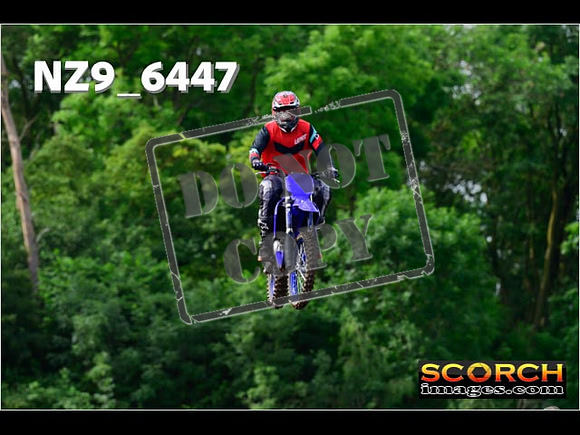 Experts-049