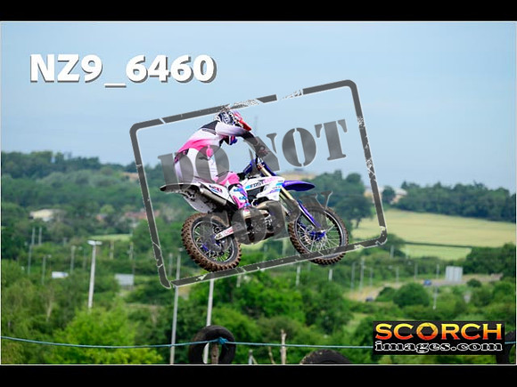 Experts-059