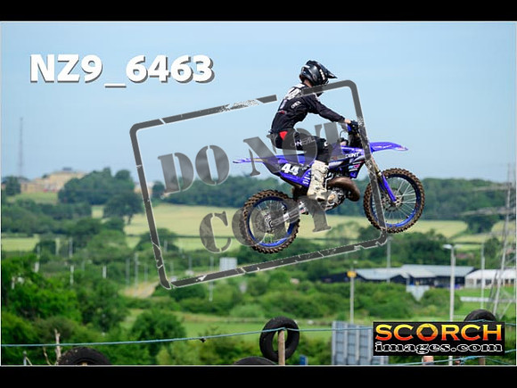 Experts-062