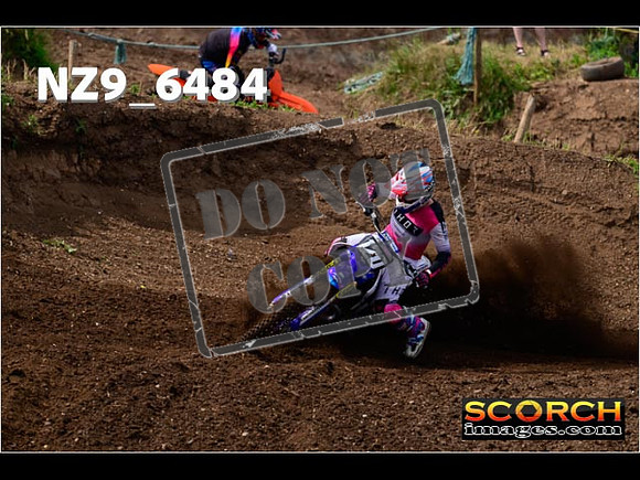 Experts-081