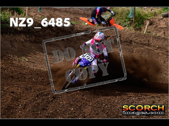 Experts-082
