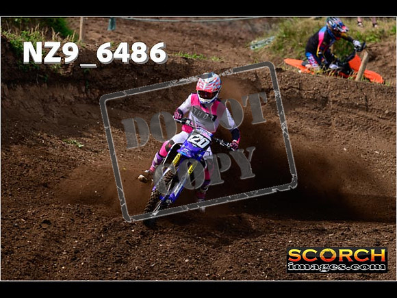 Experts-083