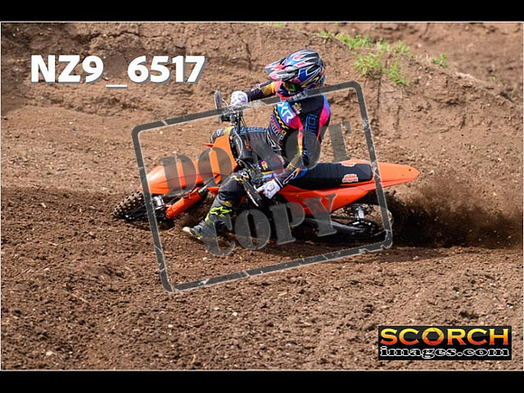 Experts-110