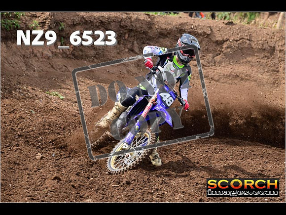 Experts-115