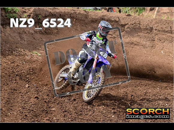 Experts-116