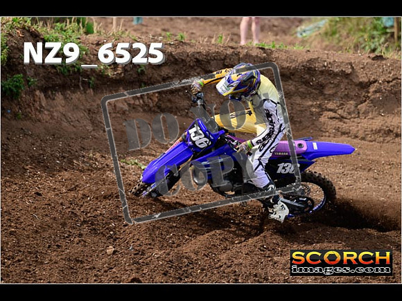 Experts-117