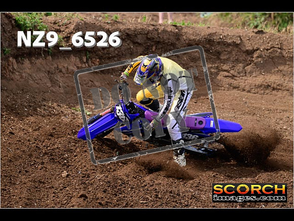 Experts-118