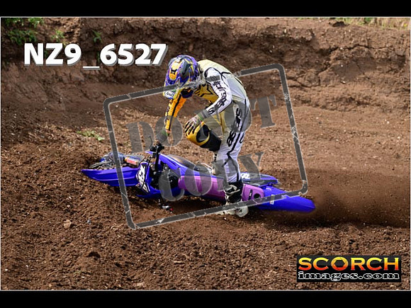 Experts-119
