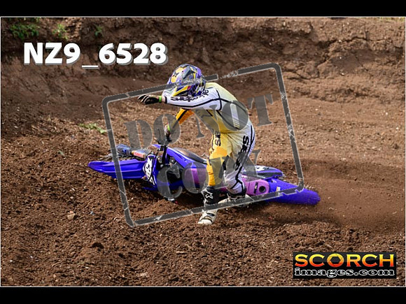 Experts-120