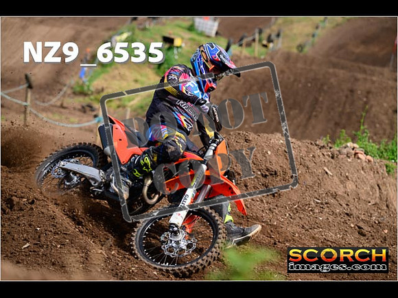 Experts-126
