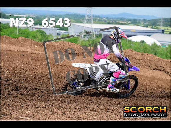 Experts-132