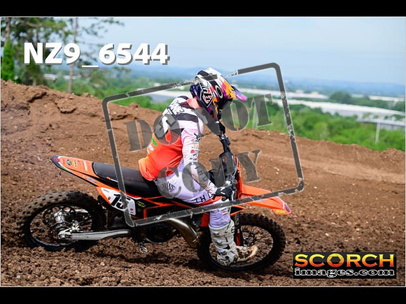 Experts-133