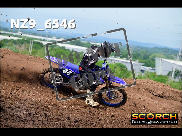 Experts-134