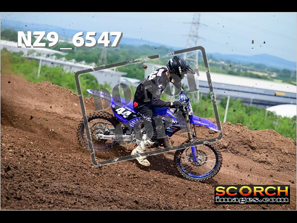 Experts-135