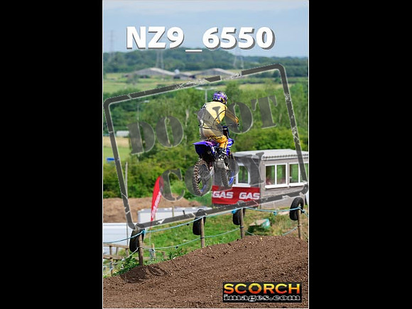 Experts-137