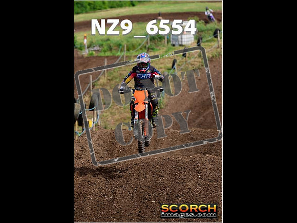 Experts-141