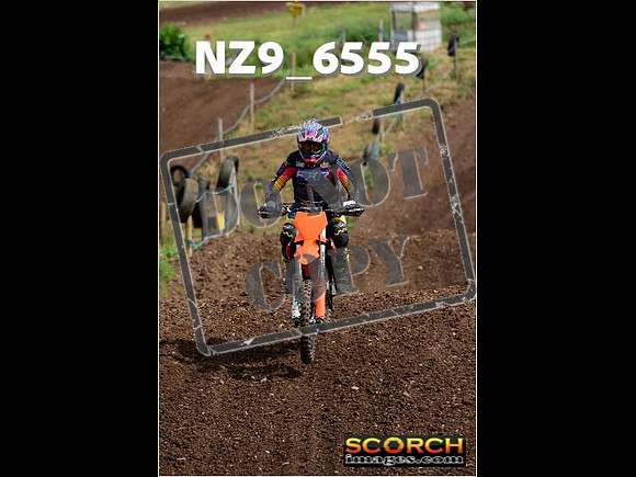 Experts-142