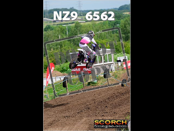 Experts-149