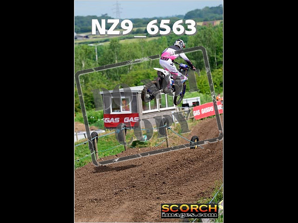 Experts-150