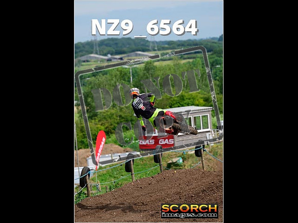 Experts-151