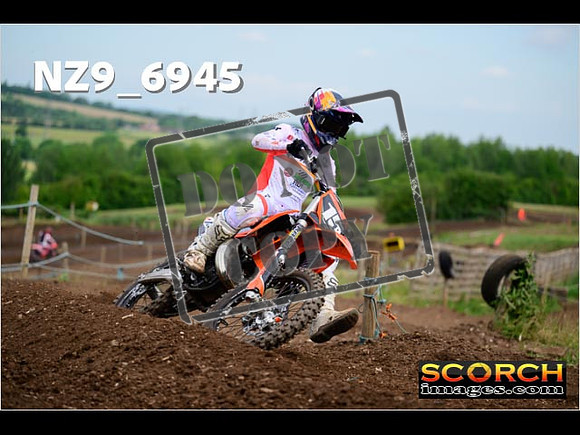 Experts-194