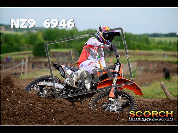 Experts-195