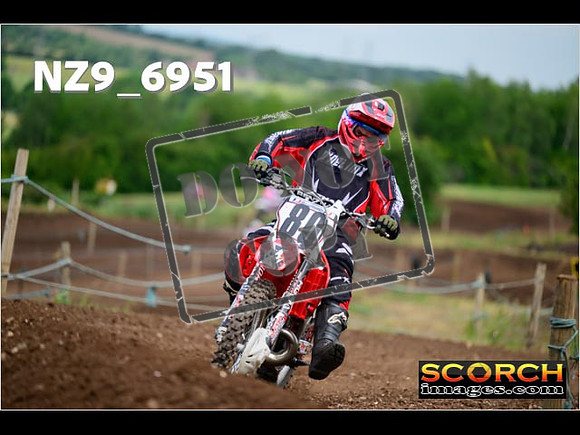 Experts-200
