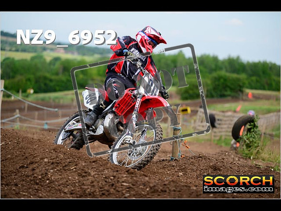 Experts-201