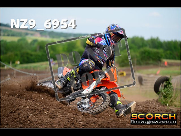 Experts-203