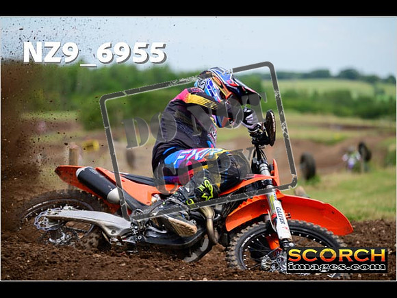 Experts-204