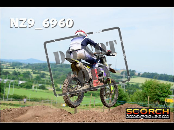 Experts-207